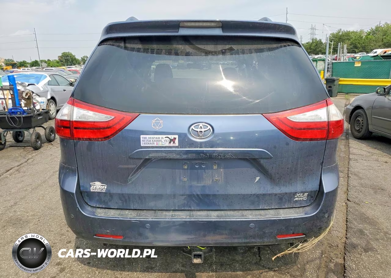 2016 Toyota Sienna Xle Premium 7-Passenger VIN:5TDDK3DC3GS141346 - 6