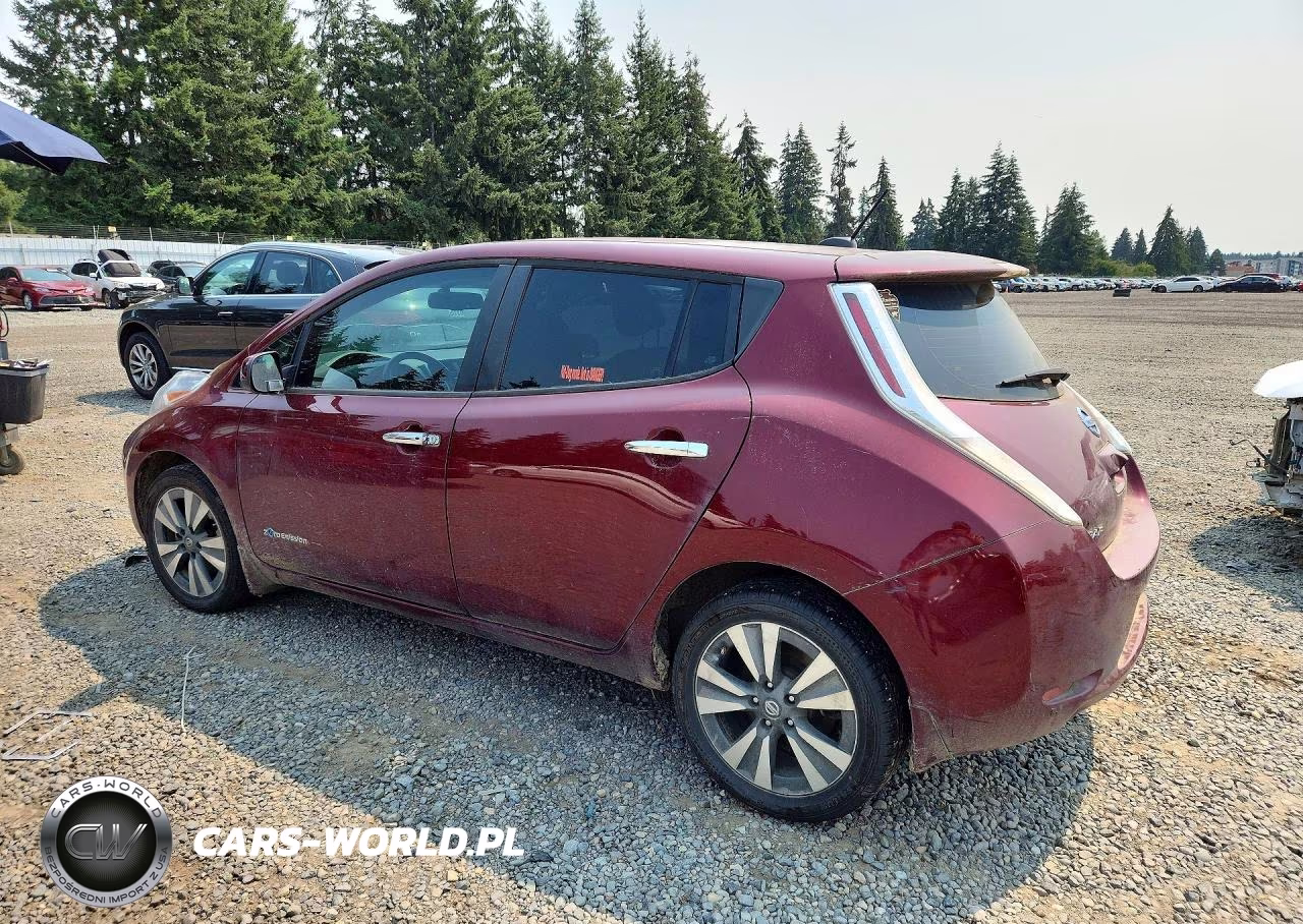 2016 Nissan Leaf Sv VIN:1N4BZ0CP0GC313569 - 2
