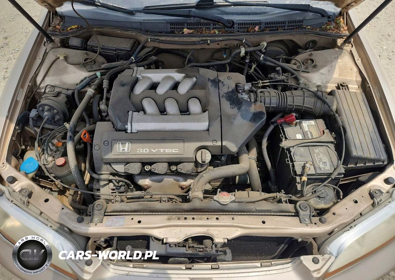 2000 Honda Accord Lx VIN:1HGCG1645YA025931 - 11