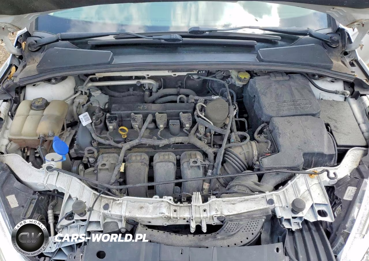2016 Ford Focus Se VIN:1FADP3K27GL319617 - 11