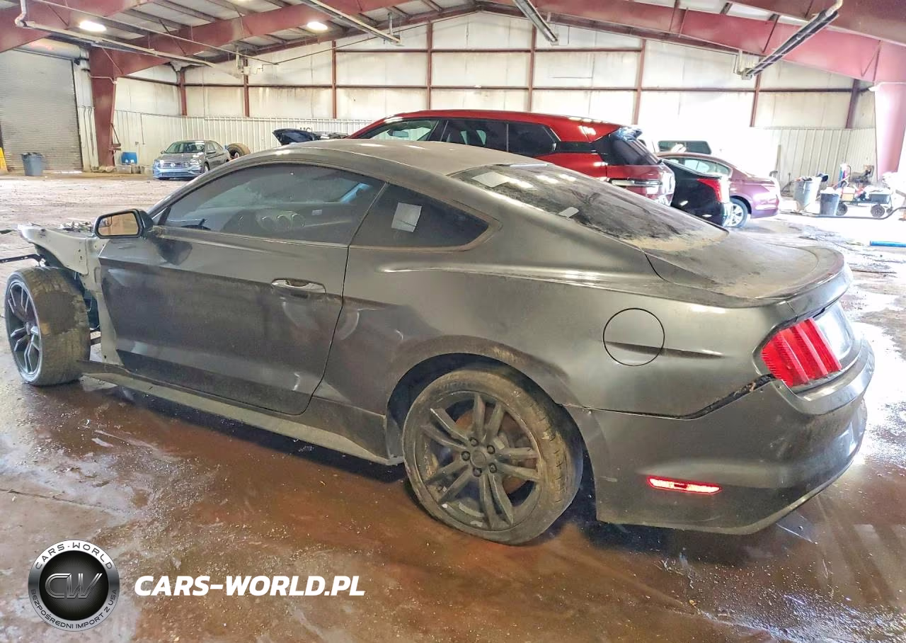 2017 Ford Mustang VIN:1FA6P8THXH5270038 - 2