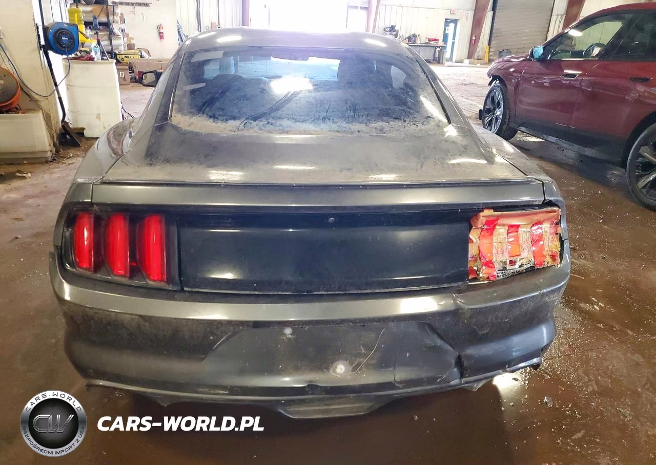 2017 Ford Mustang VIN:1FA6P8THXH5270038 - 6