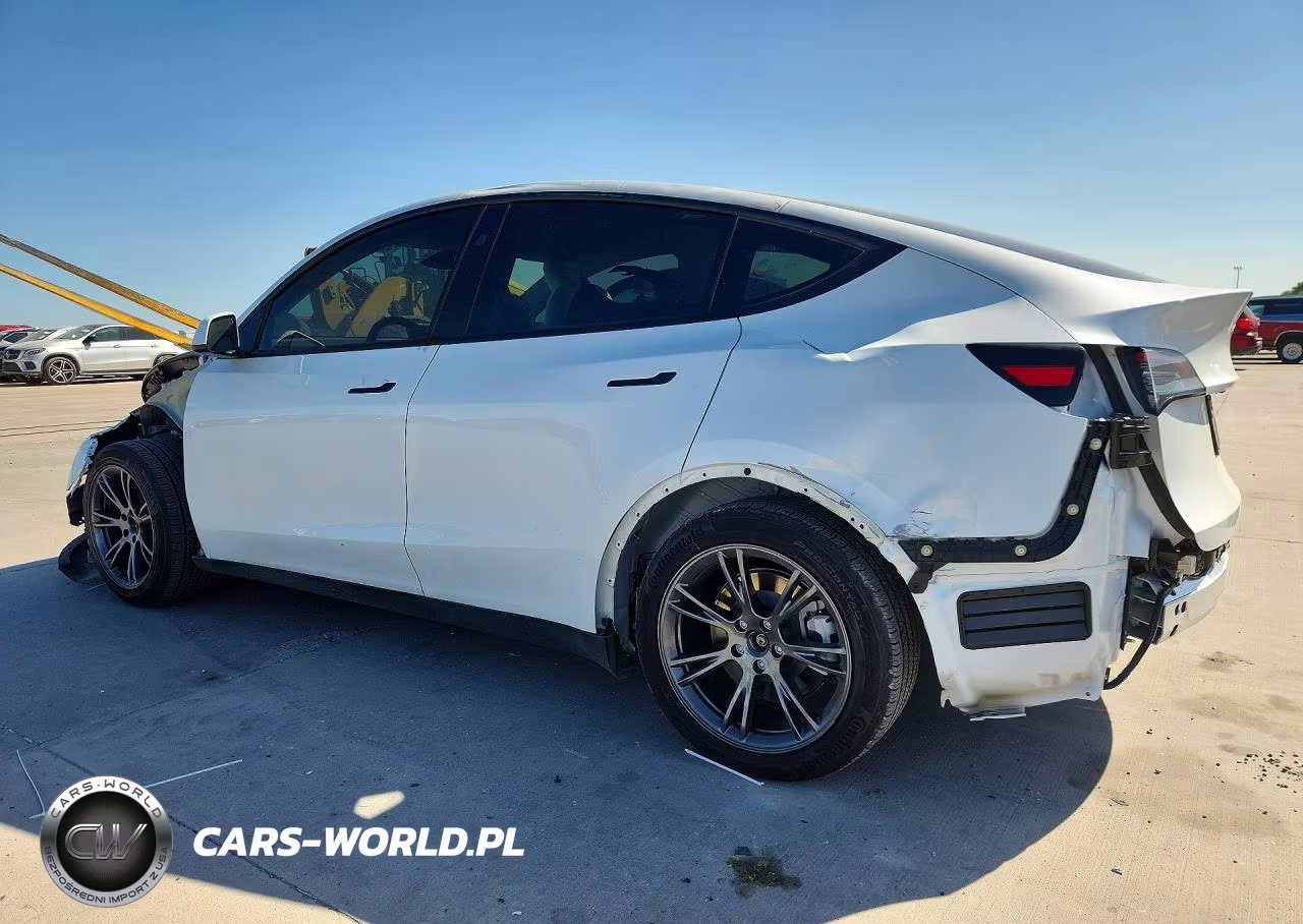 2024 Tesla Model Y VIN:7SAYGDED8RF116954 - 2