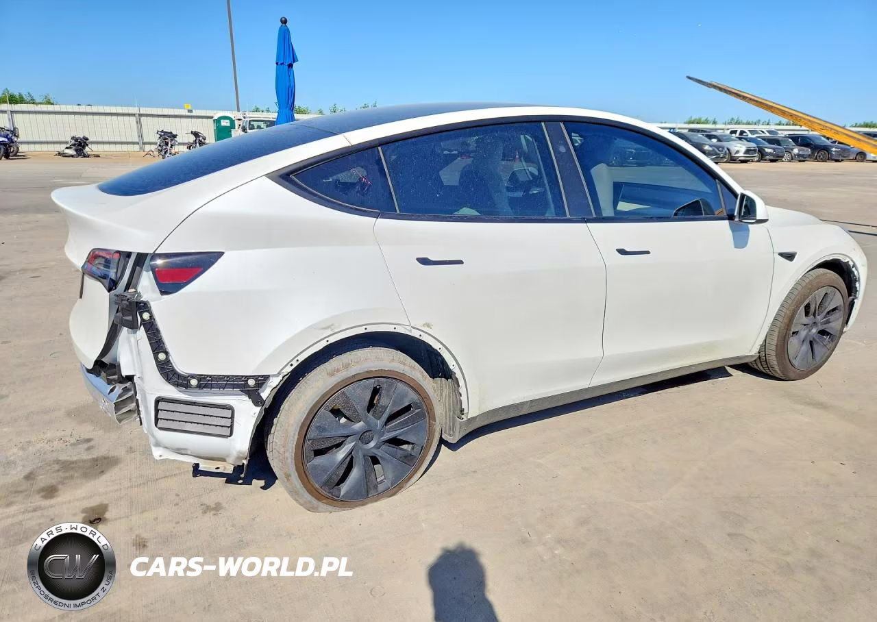2024 Tesla Model Y VIN:7SAYGDED8RF116954 - 3
