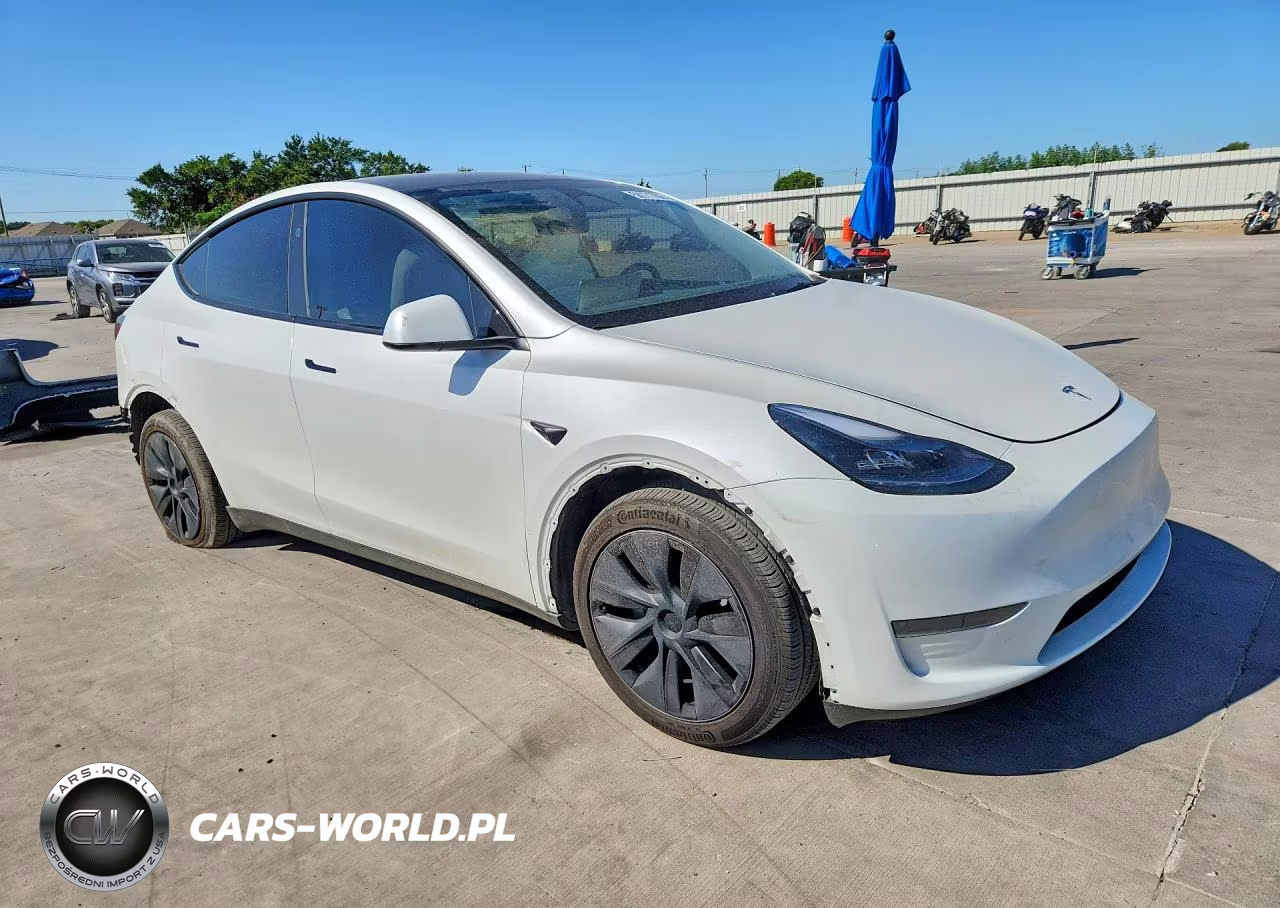 2024 Tesla Model Y VIN:7SAYGDED8RF116954 - 4