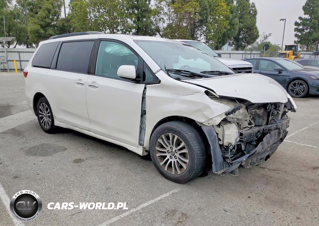 2019 Toyota Sienna Xle 8-Passenger VIN:5TDYZ3DC2KS966431 - 4