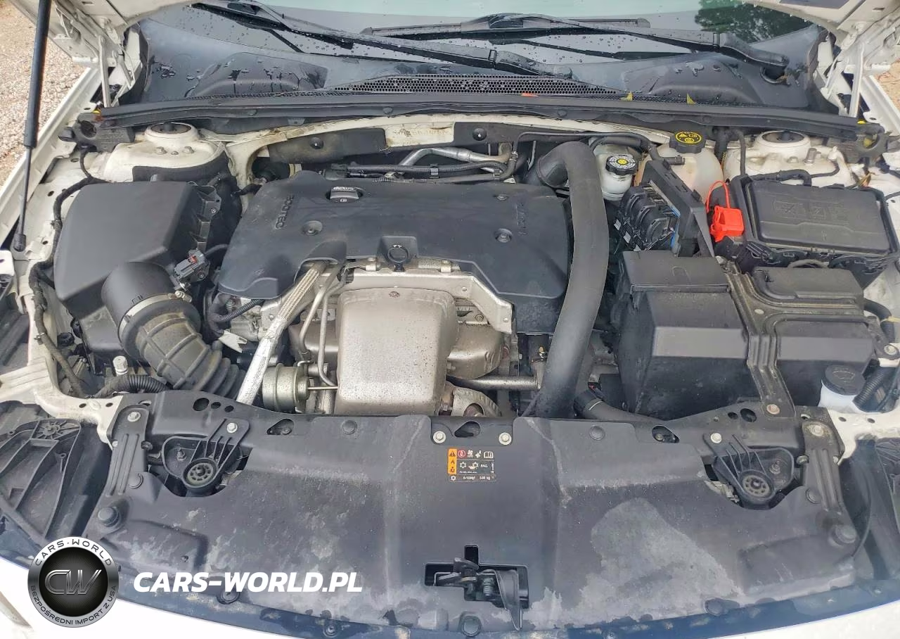 2018 Buick Regal Tourx Preferred VIN:W04GU8SX4J1128842 - 11