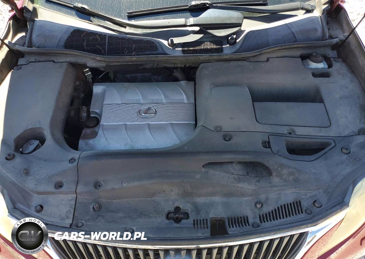 2010 Lexus Rx 350 VIN:JTJZK1BA6A2002013 - 11