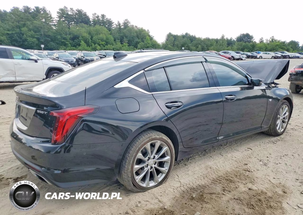 2021 Cadillac Ct5 Premium Luxury VIN:1G6DT5RW9M0148251 - 3