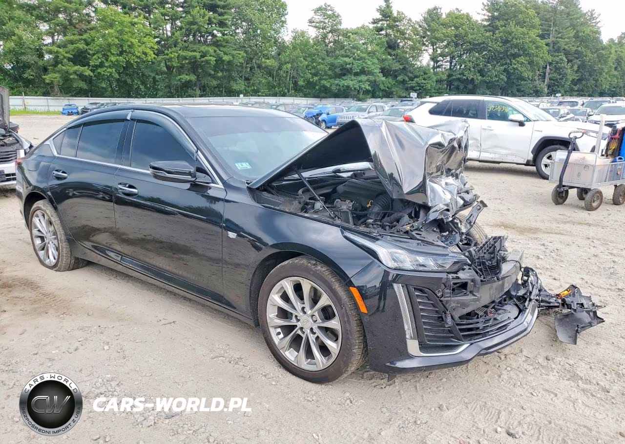 2021 Cadillac Ct5 Premium Luxury VIN:1G6DT5RW9M0148251 - 4