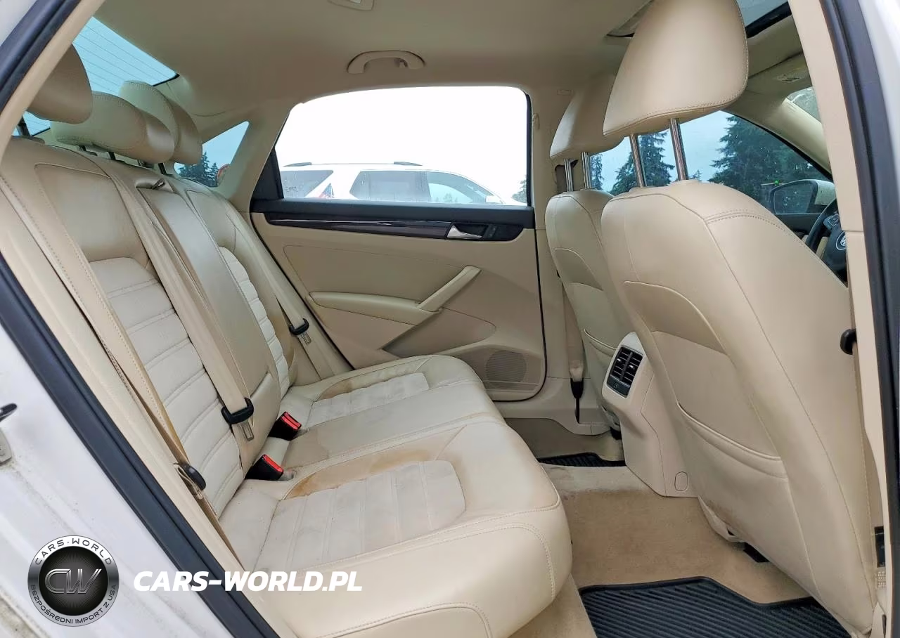 2014 Volkswagen Passat Sel VIN:1VWCN7A3XEC013387 - 10