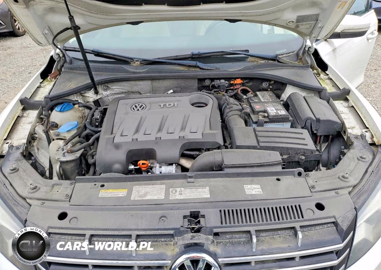 2014 Volkswagen Passat Sel VIN:1VWCN7A3XEC013387 - 11
