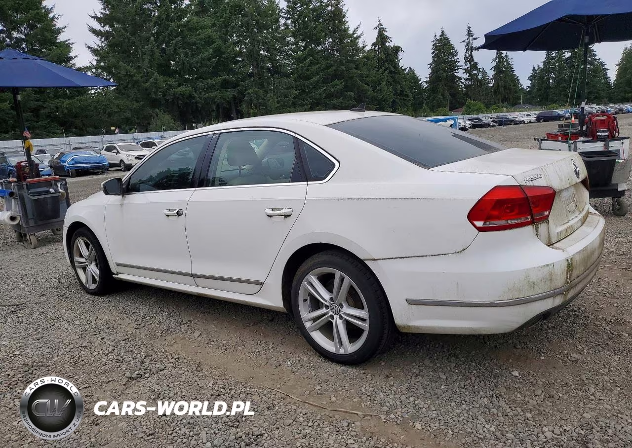 2014 Volkswagen Passat Sel VIN:1VWCN7A3XEC013387 - 2