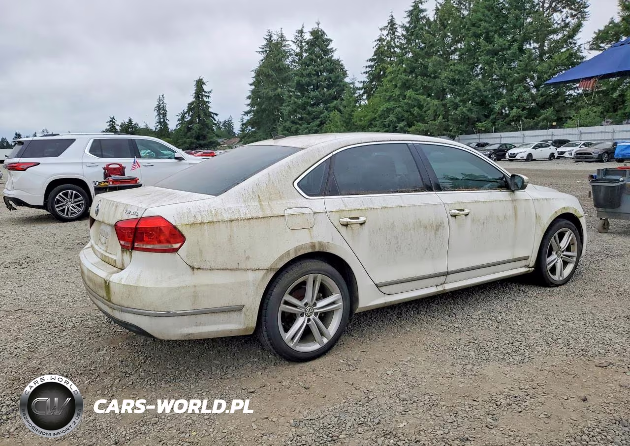 2014 Volkswagen Passat Sel VIN:1VWCN7A3XEC013387 - 3