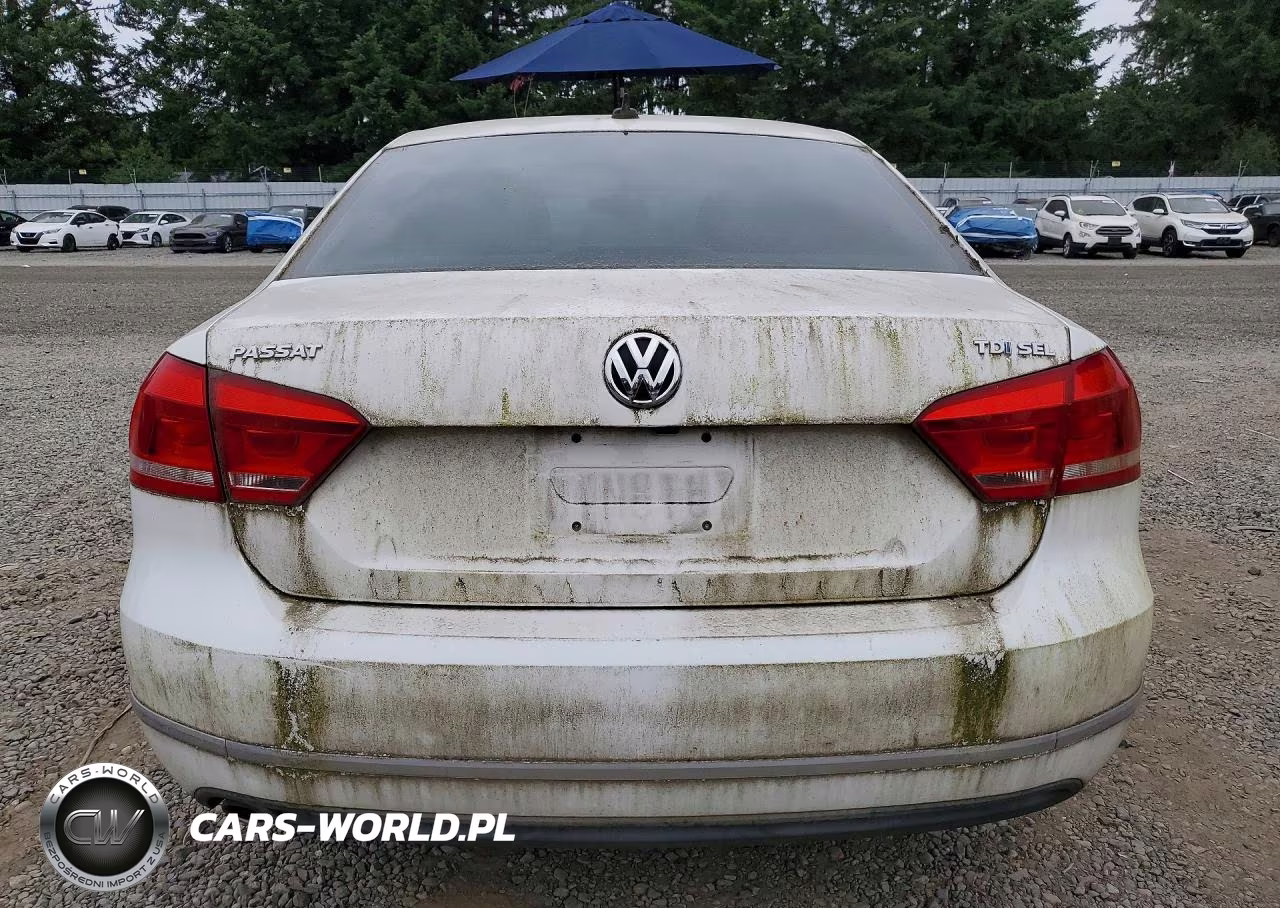 2014 Volkswagen Passat Sel VIN:1VWCN7A3XEC013387 - 6