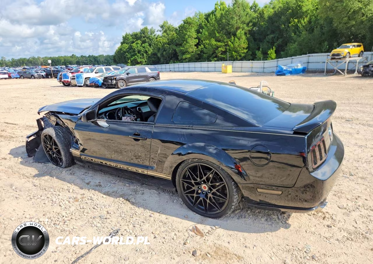 2006 Ford Mustang Gt VIN:1ZVFT82H065222405 - 2