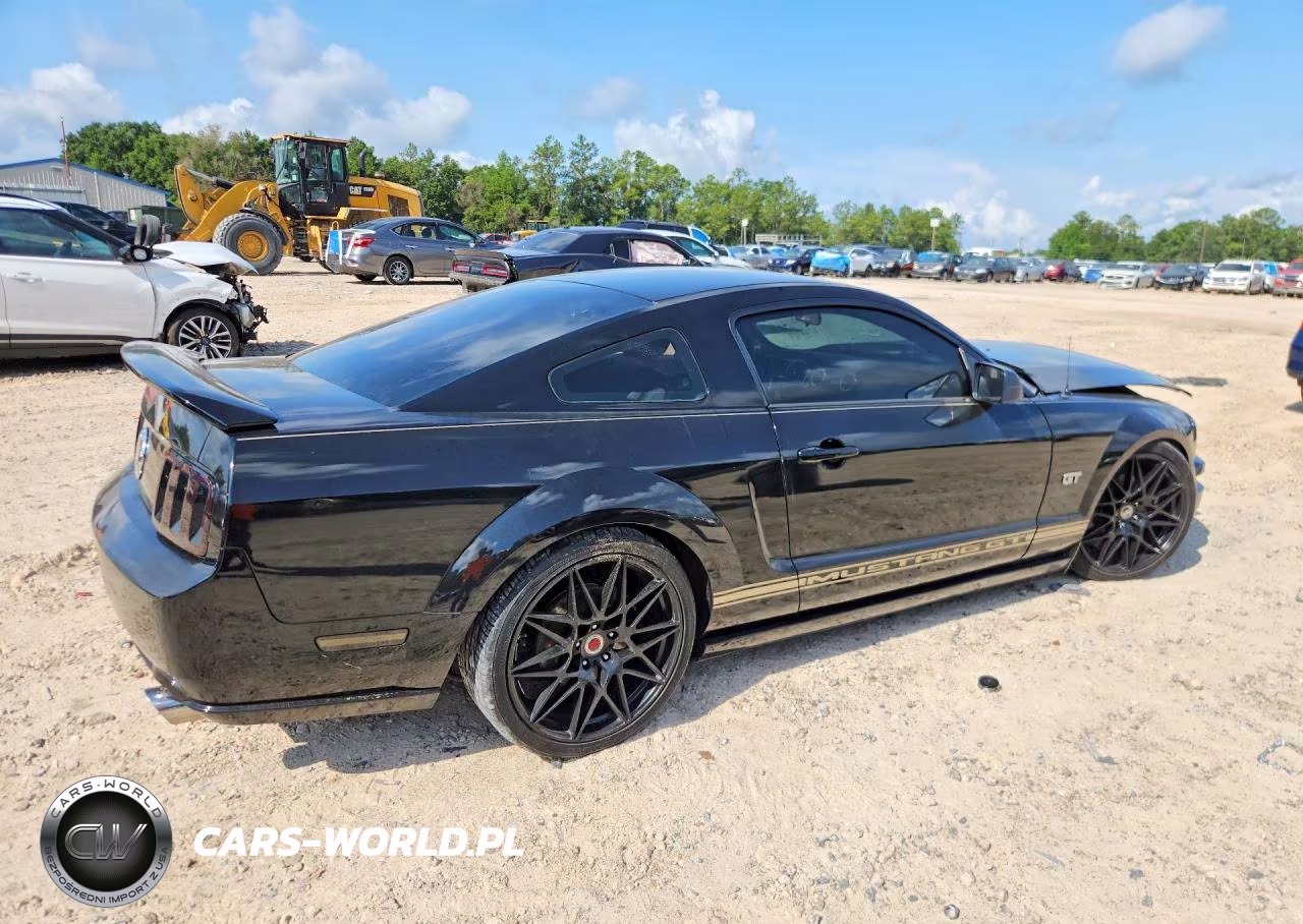 2006 Ford Mustang Gt VIN:1ZVFT82H065222405 - 3