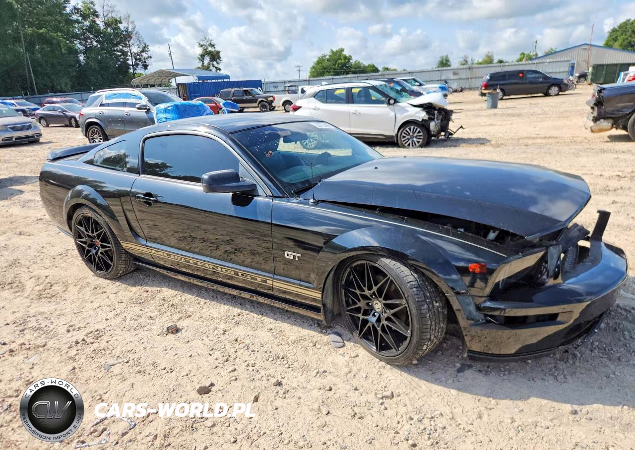 2006 Ford Mustang Gt VIN:1ZVFT82H065222405 - 4