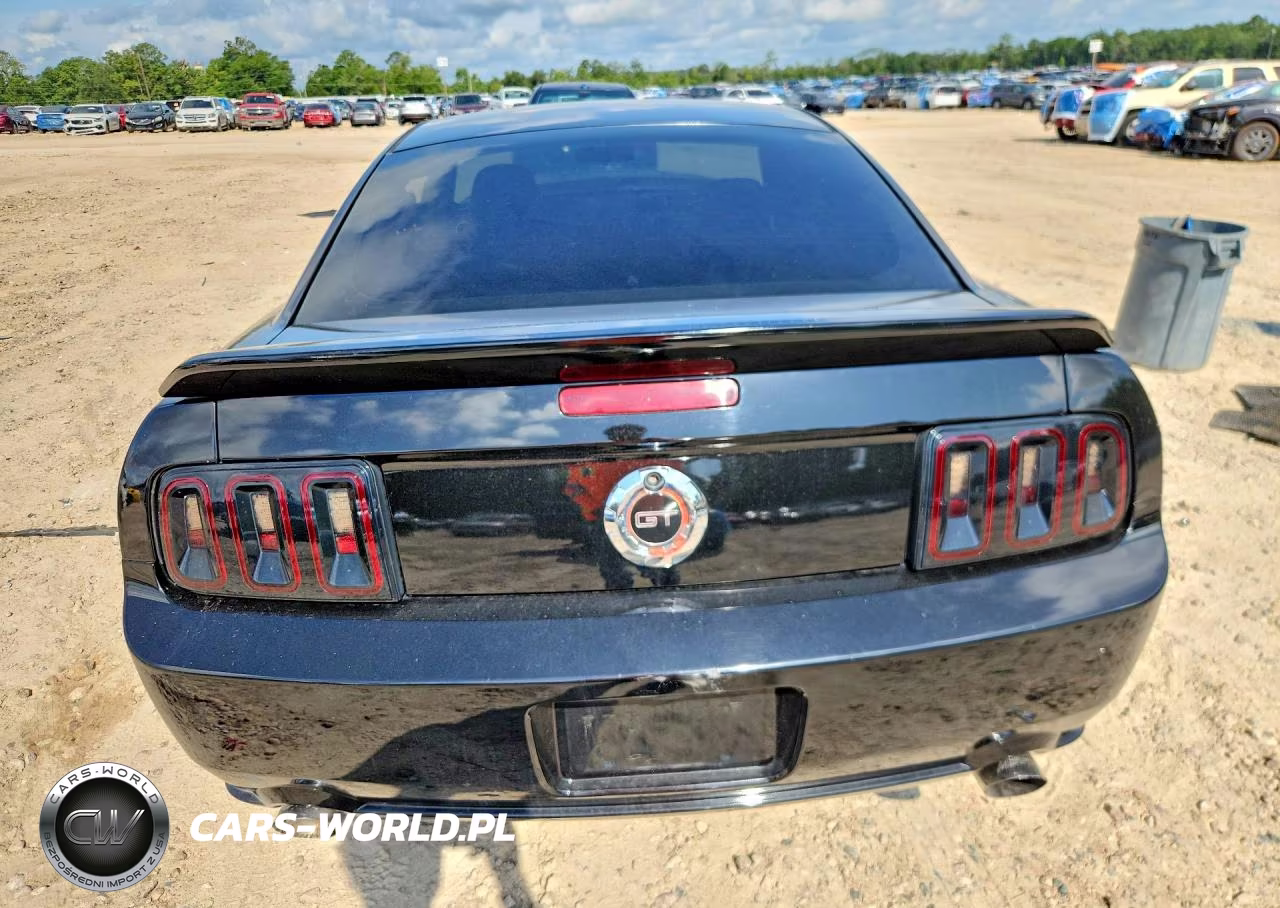 2006 Ford Mustang Gt VIN:1ZVFT82H065222405 - 6