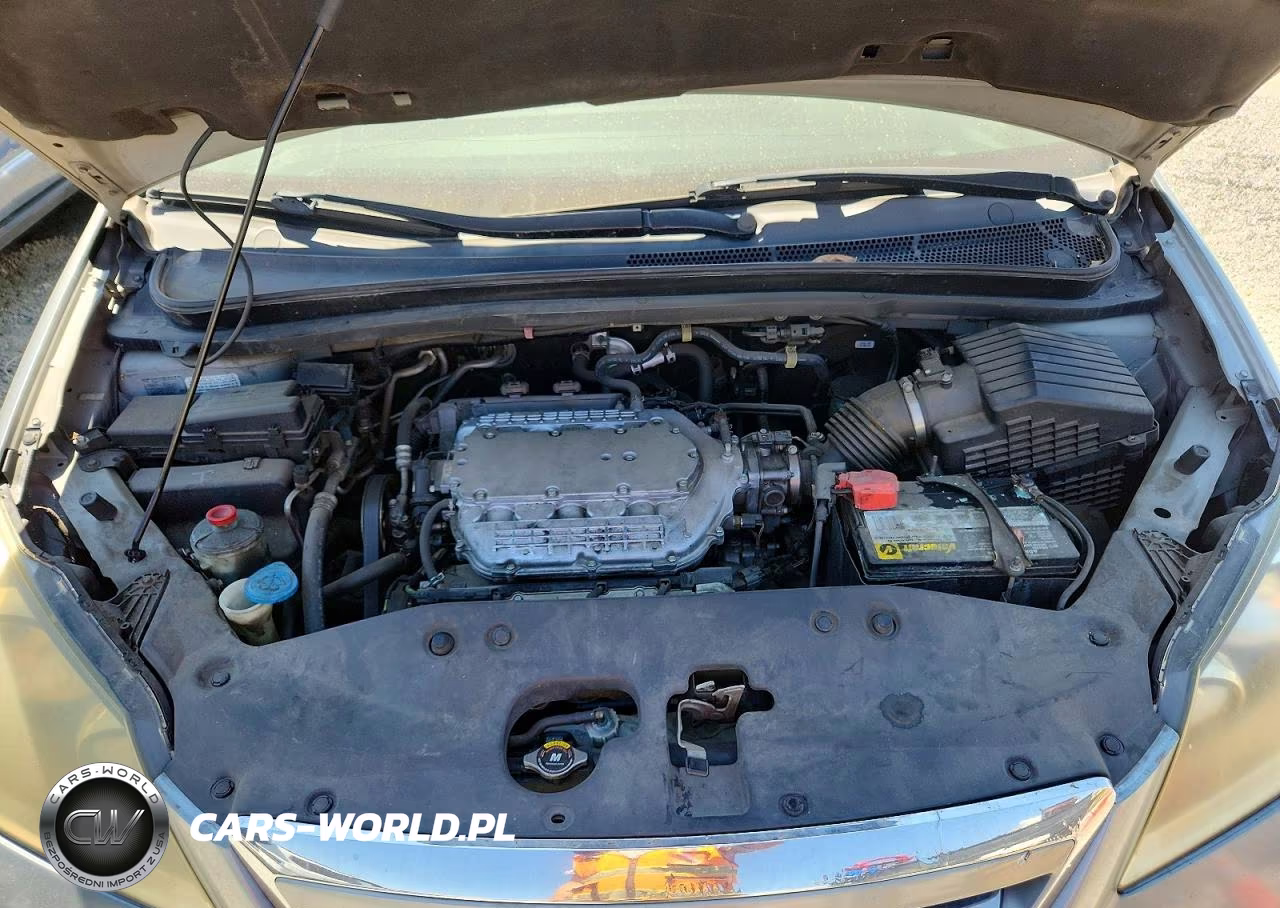 2007 Honda Odyssey Exl VIN:5FNRL38797B002777 - 12