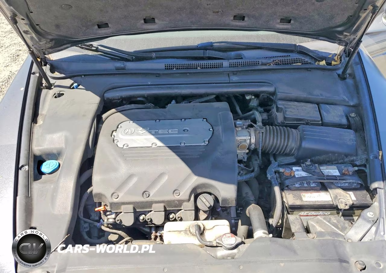 2004 Acura Tl VIN:19UUA65594A046028 - 11