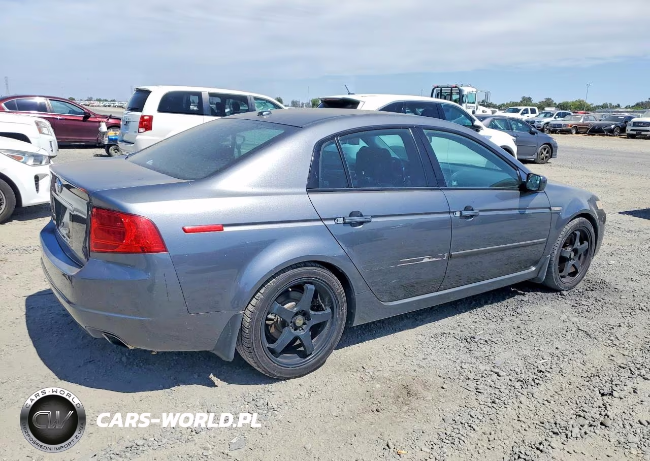 2004 Acura Tl VIN:19UUA65594A046028 - 3