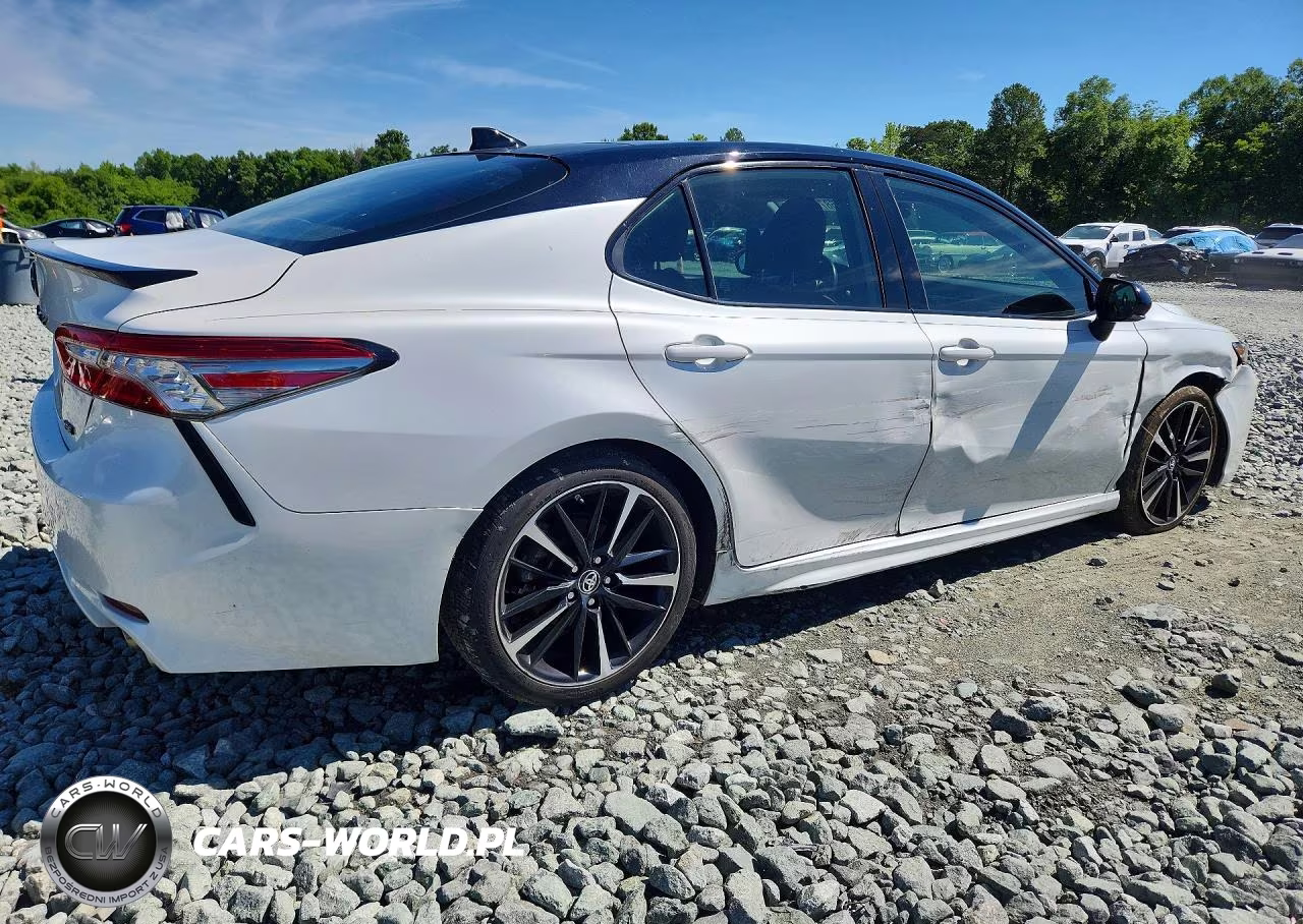 2019 Toyota Camry Xse VIN:4T1B61HK0KU215646 - 3