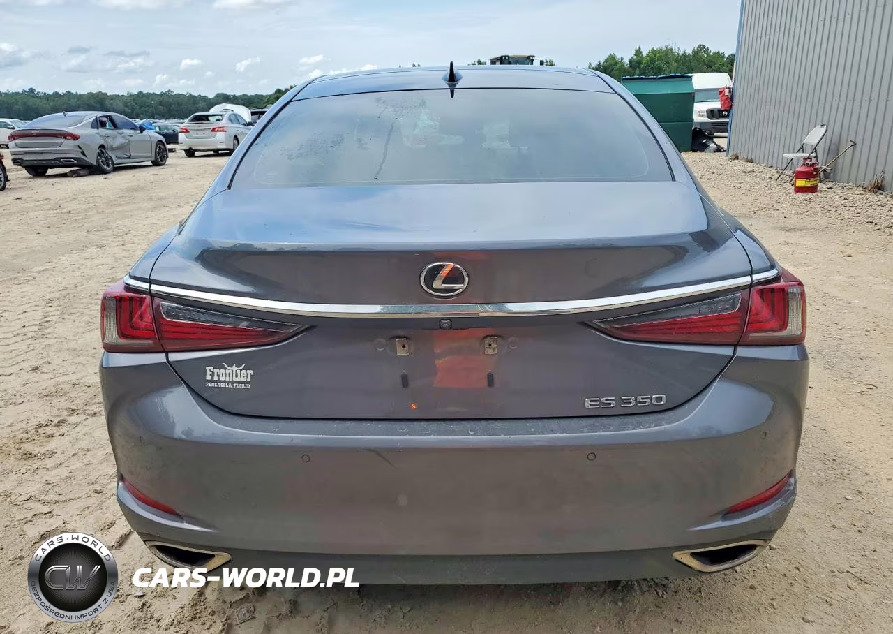 2020 Lexus Es 350 Ultra Luxury VIN:58AFZ1B16LU070308 - 6