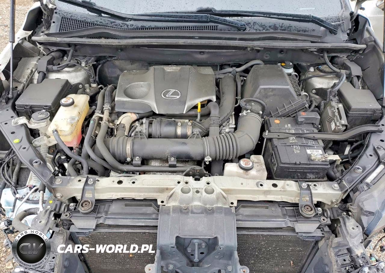 2020 Lexus Nx 300 VIN:JTJGARDZ6L5008861 - 12