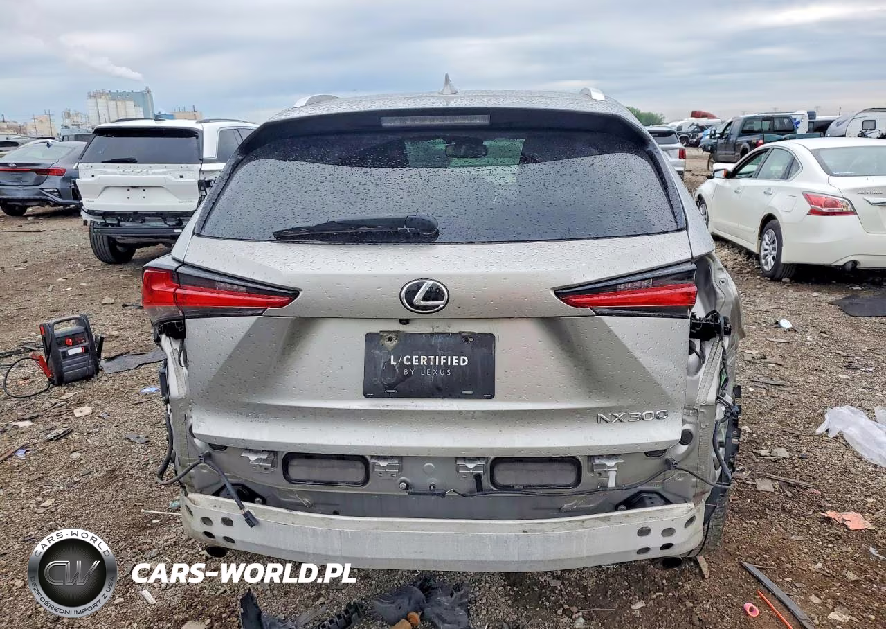 2020 Lexus Nx 300 VIN:JTJGARDZ6L5008861 - 6
