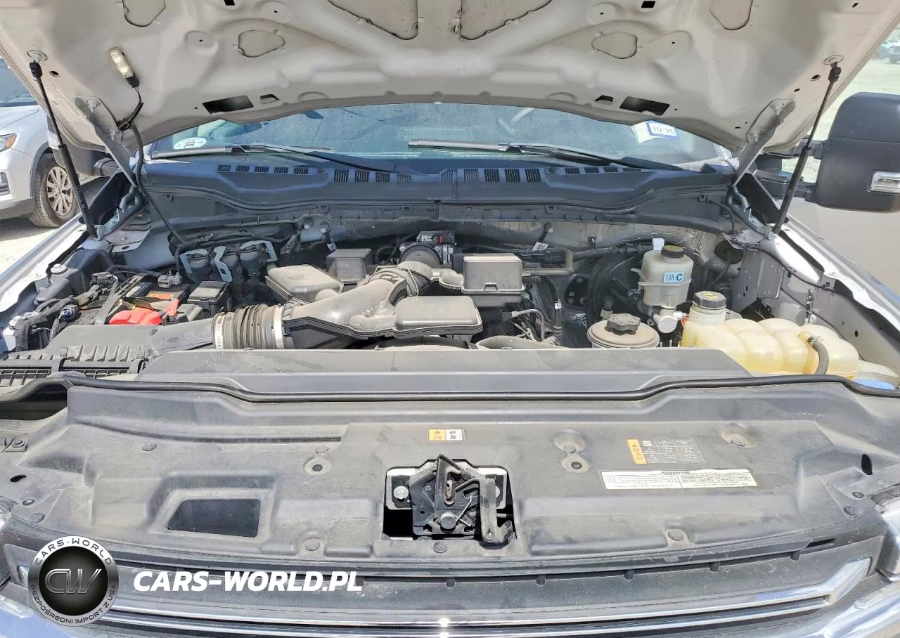 2020 Ford F250 Super Duty VIN:1FT7W2A64LEE61138 - 11