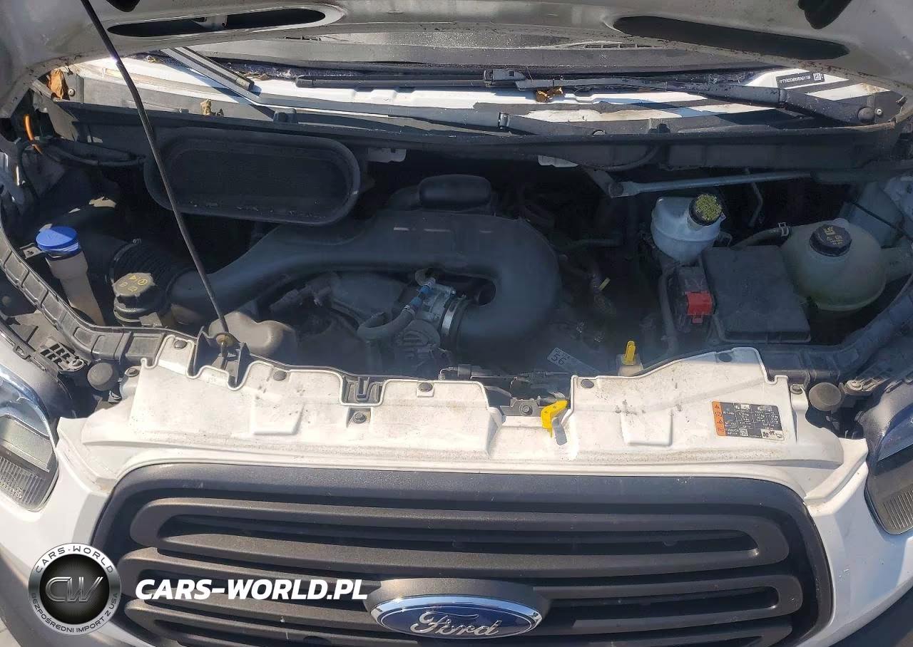 2019 Ford Transit 250 Delivery Van VIN:1FTYR2CMXKKA61138 - 12