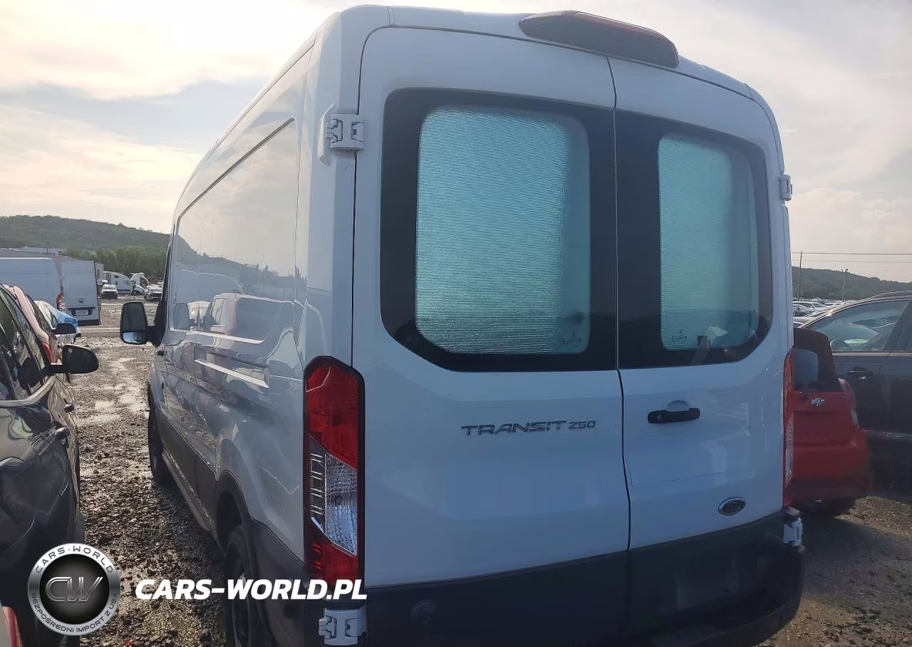 2019 Ford Transit 250 Delivery Van VIN:1FTYR2CMXKKA61138 - 2