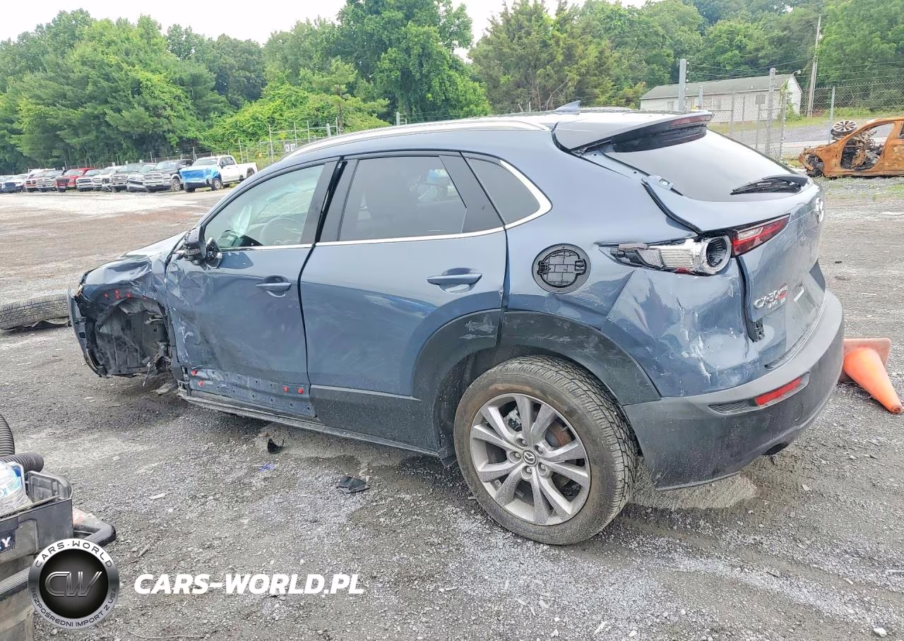 2020 Mazda Cx-30 Premium VIN:3MVDMBEMXLM107991 - 2