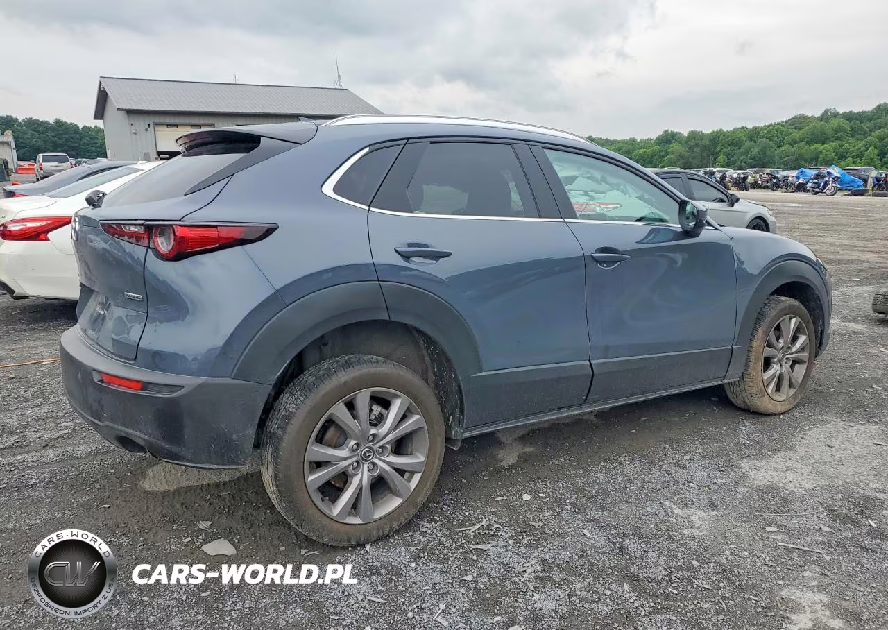 2020 Mazda Cx-30 Premium VIN:3MVDMBEMXLM107991 - 3