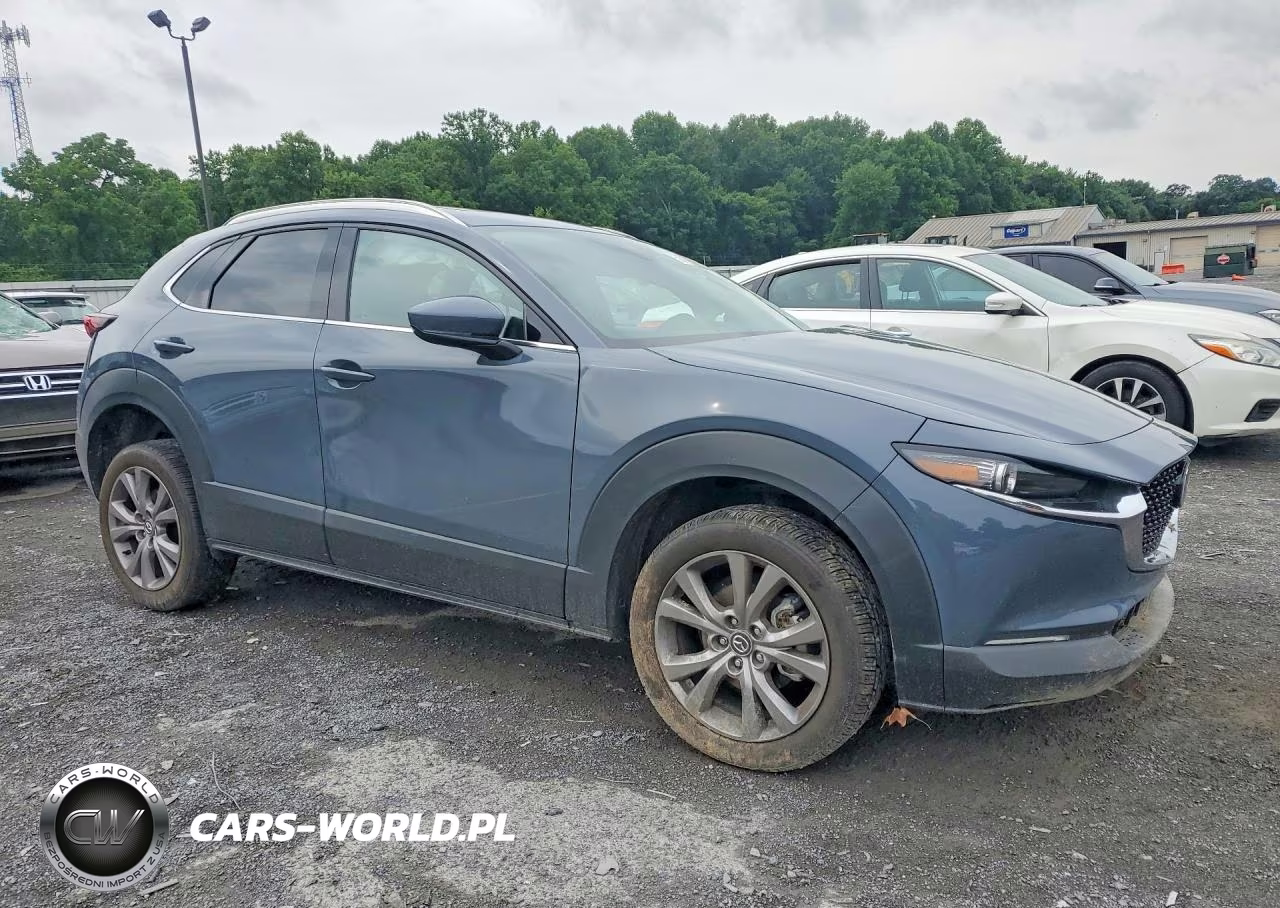 2020 Mazda Cx-30 Premium VIN:3MVDMBEMXLM107991 - 4