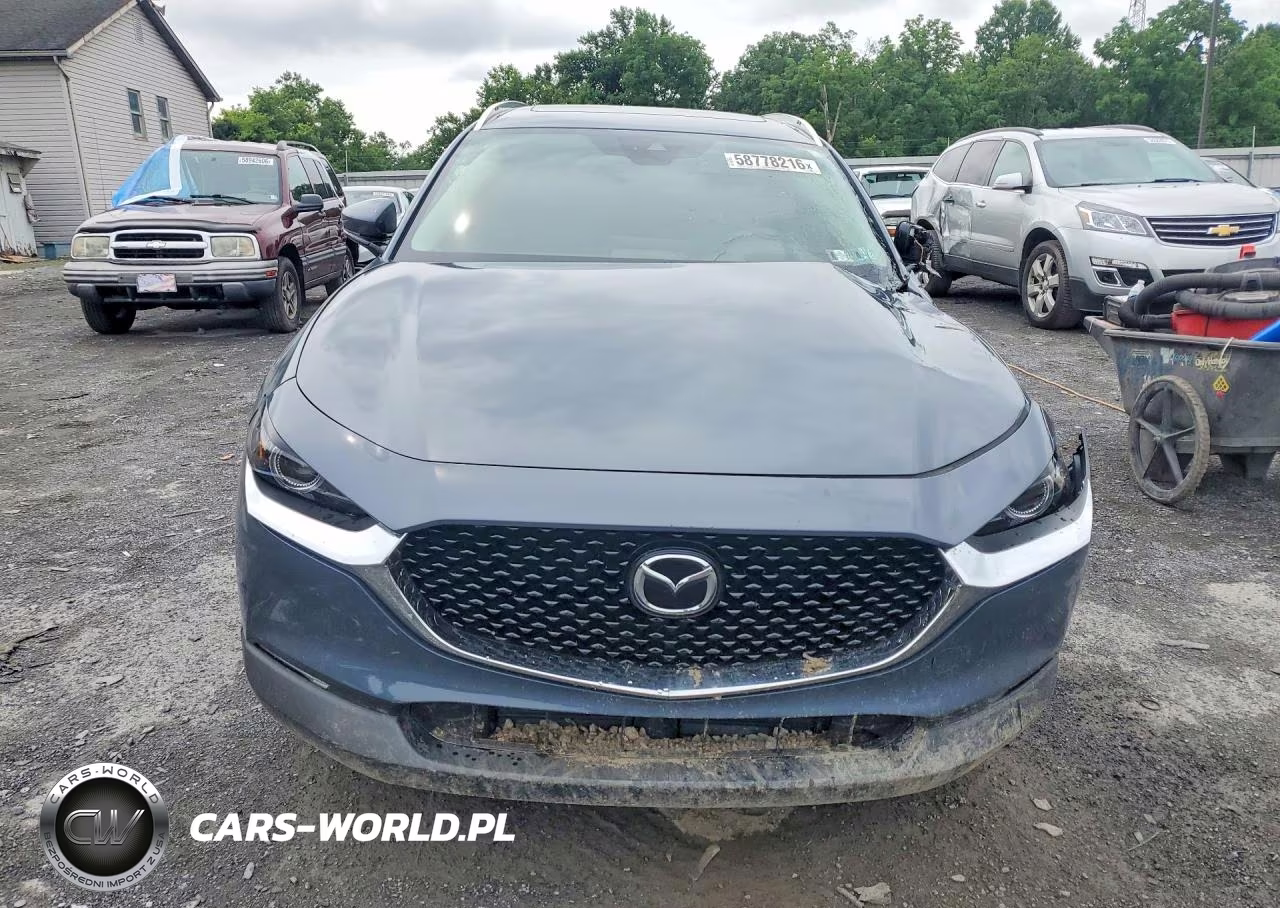 2020 Mazda Cx-30 Premium VIN:3MVDMBEMXLM107991 - 5