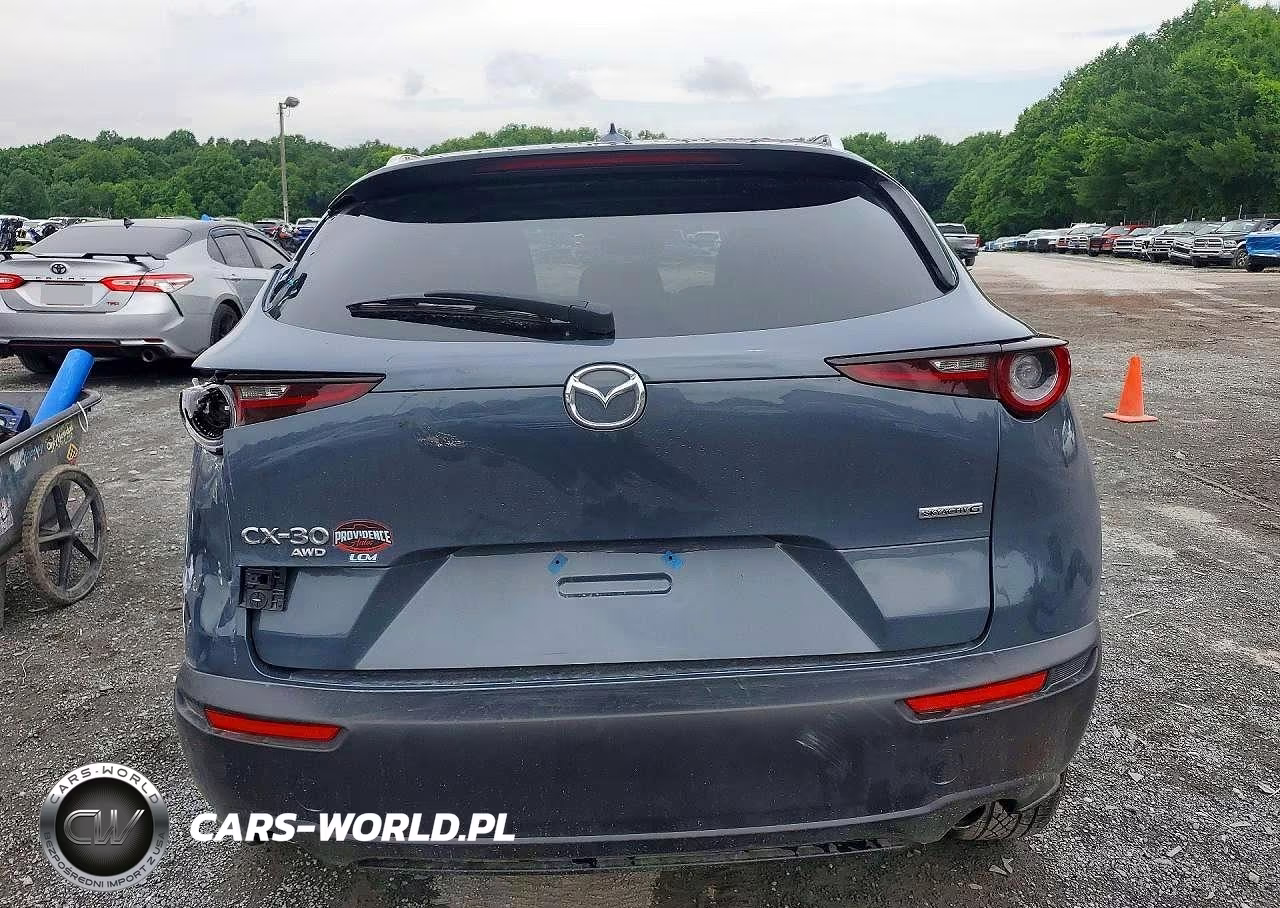 2020 Mazda Cx-30 Premium VIN:3MVDMBEMXLM107991 - 6