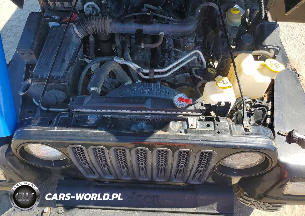 2000 Jeep Wrangler - Tj Sport VIN:1J4FA49S0YP707891 - 12