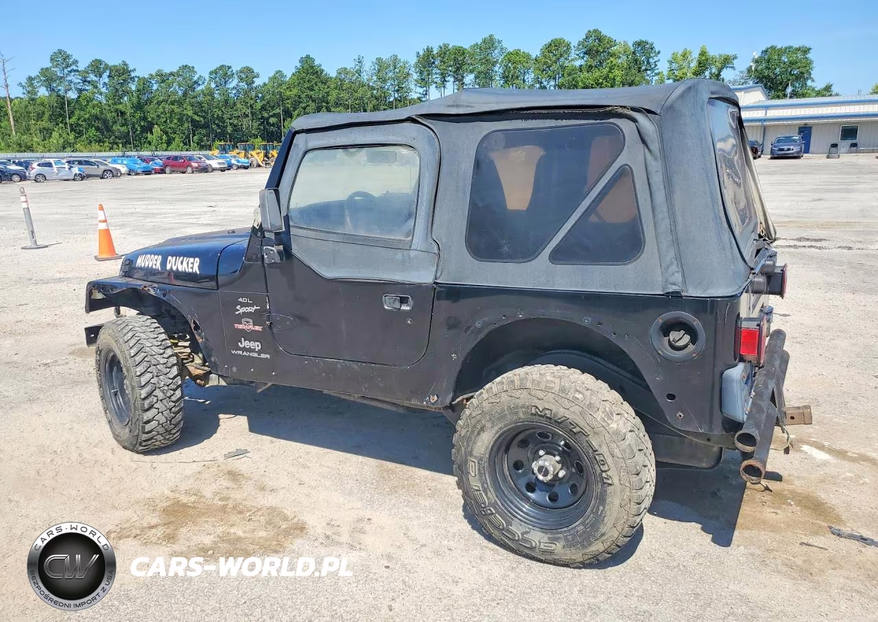 2000 Jeep Wrangler - Tj Sport VIN:1J4FA49S0YP707891 - 2
