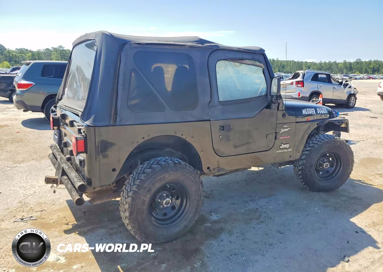 2000 Jeep Wrangler - Tj Sport VIN:1J4FA49S0YP707891 - 3