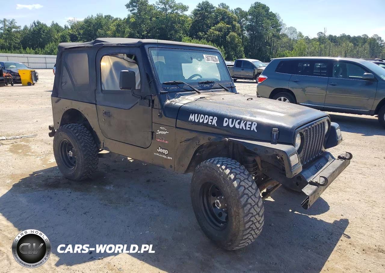 2000 Jeep Wrangler - Tj Sport VIN:1J4FA49S0YP707891 - 4