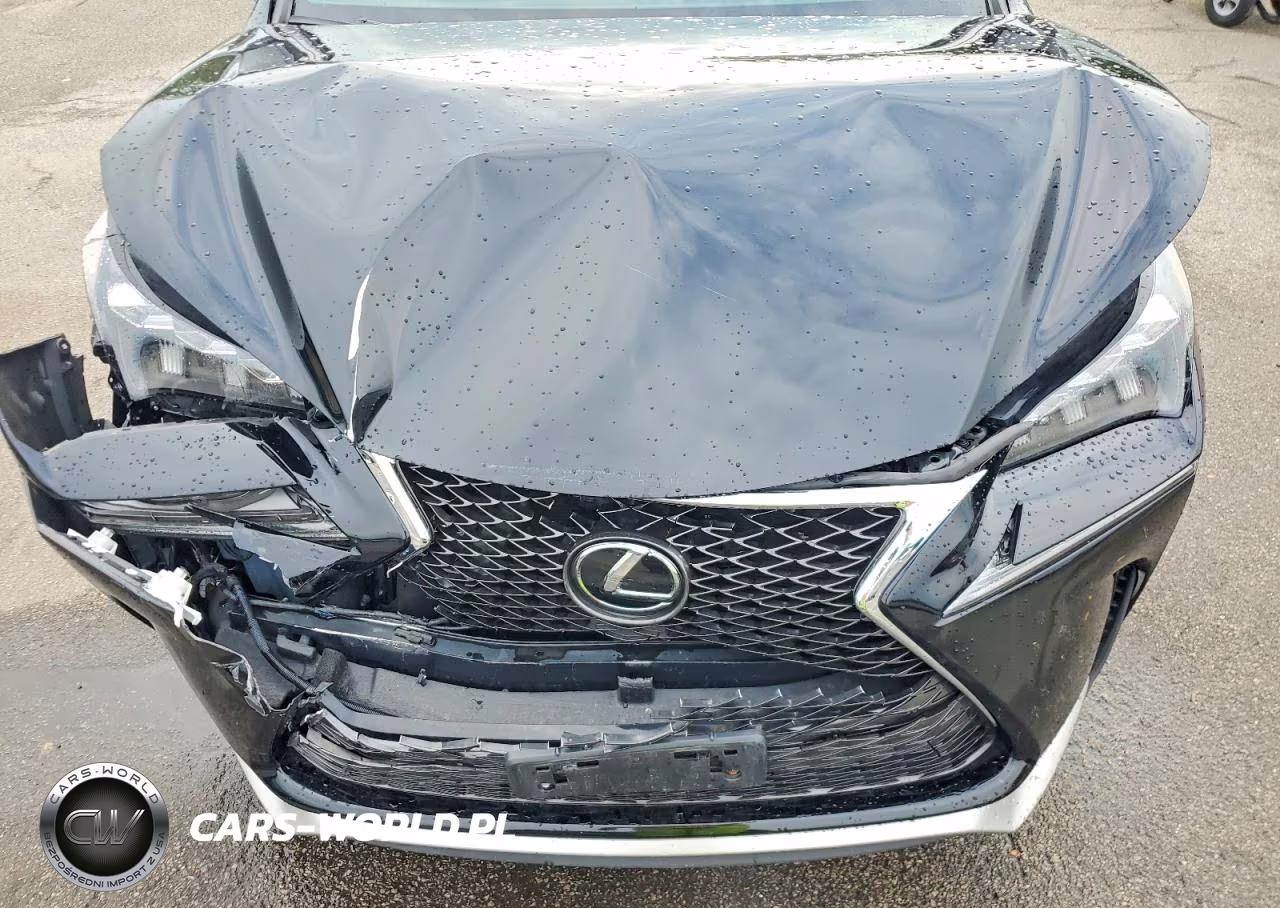 2017 Lexus Nx 200T F Sport VIN:JTJBARBZXH2128216 - 12