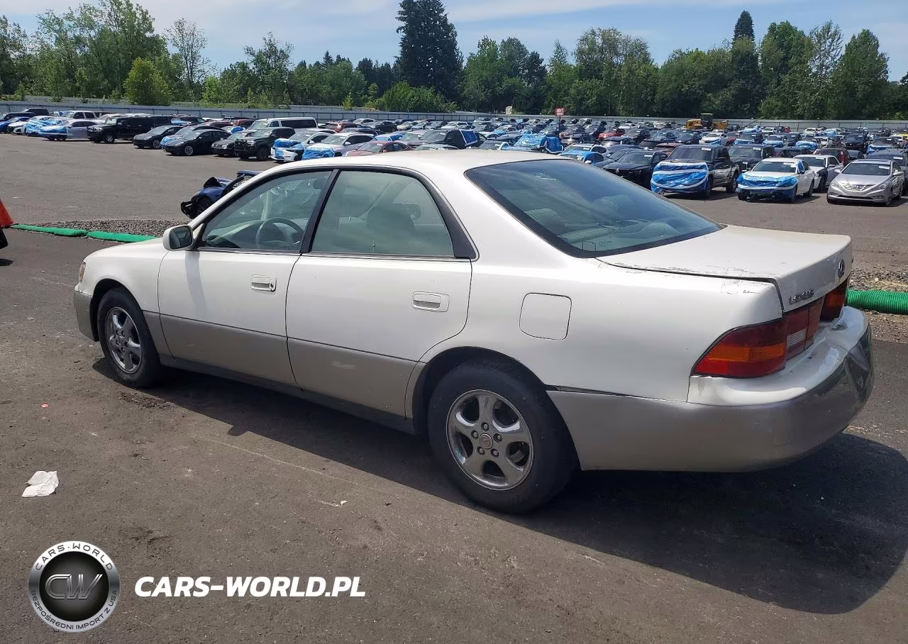 1998 Lexus Es 300 VIN:JT8BF28G3W5045626 - 2