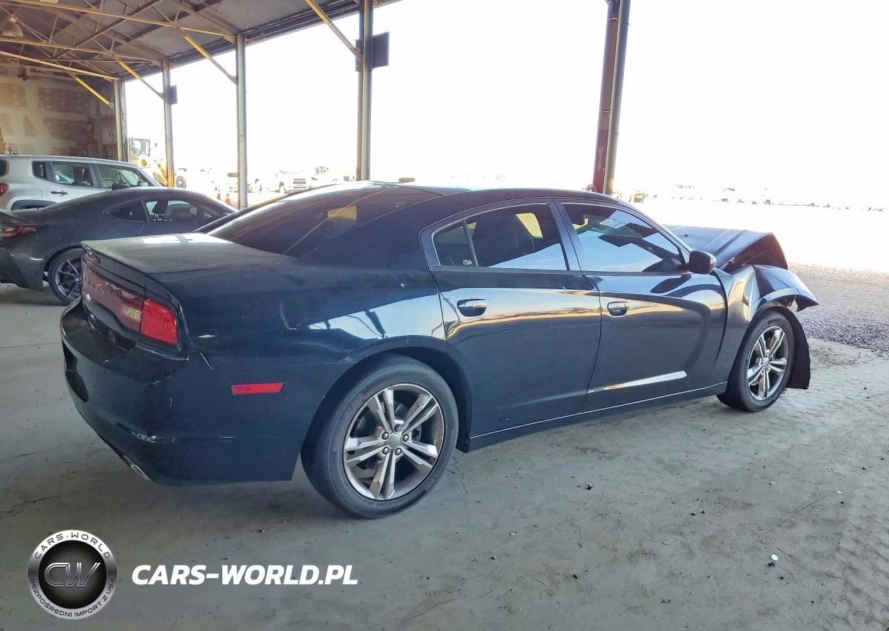 2013 Dodge Charger Sxt VIN:2C3CDXJG6DH541260 - 3