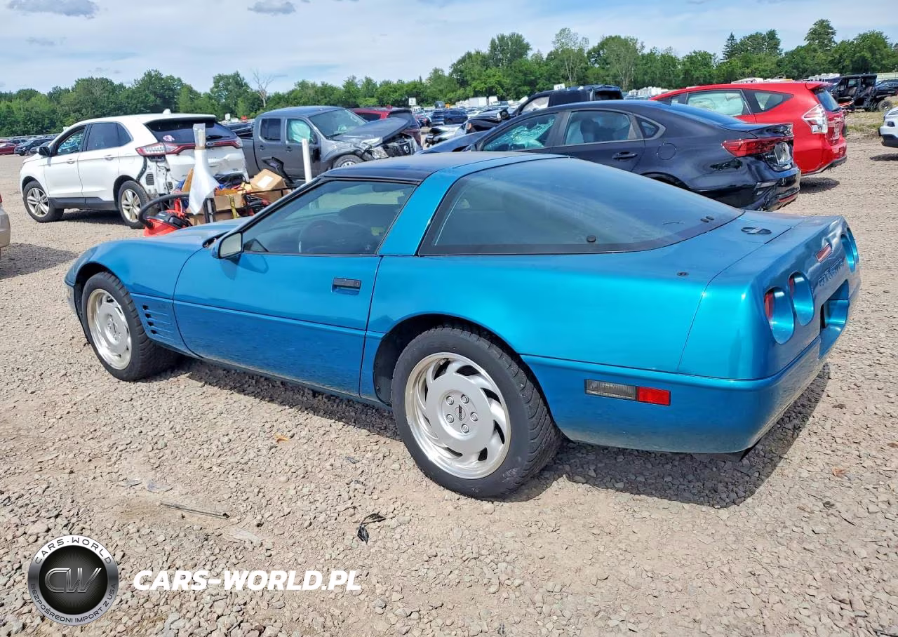 1992 Chevrolet Corvette VIN:1G1YY23P6N5108352 - 2