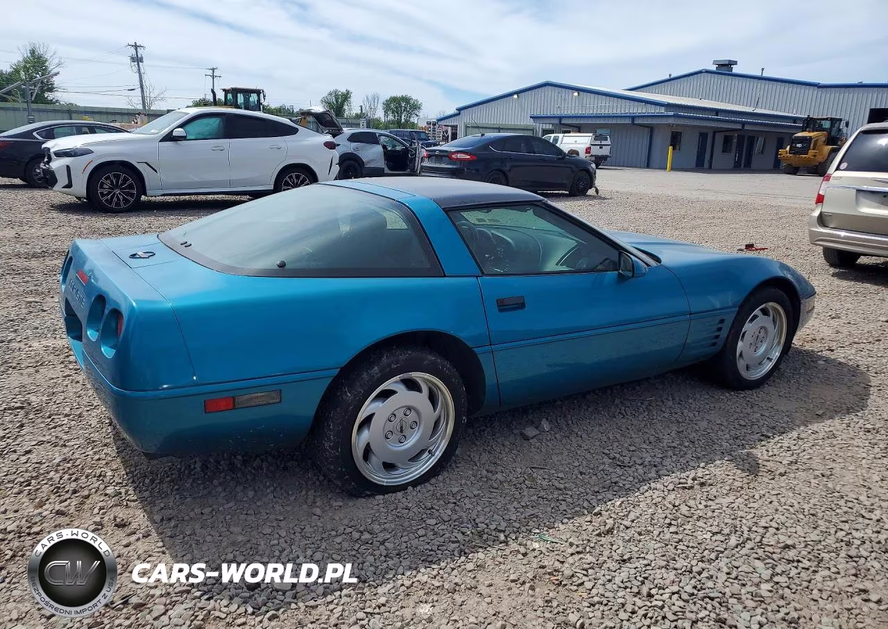 1992 Chevrolet Corvette VIN:1G1YY23P6N5108352 - 3