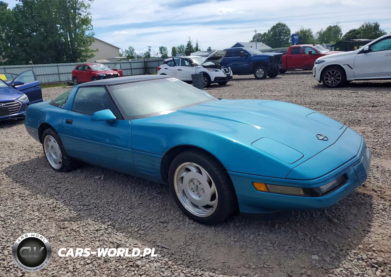 1992 Chevrolet Corvette VIN:1G1YY23P6N5108352 - 4
