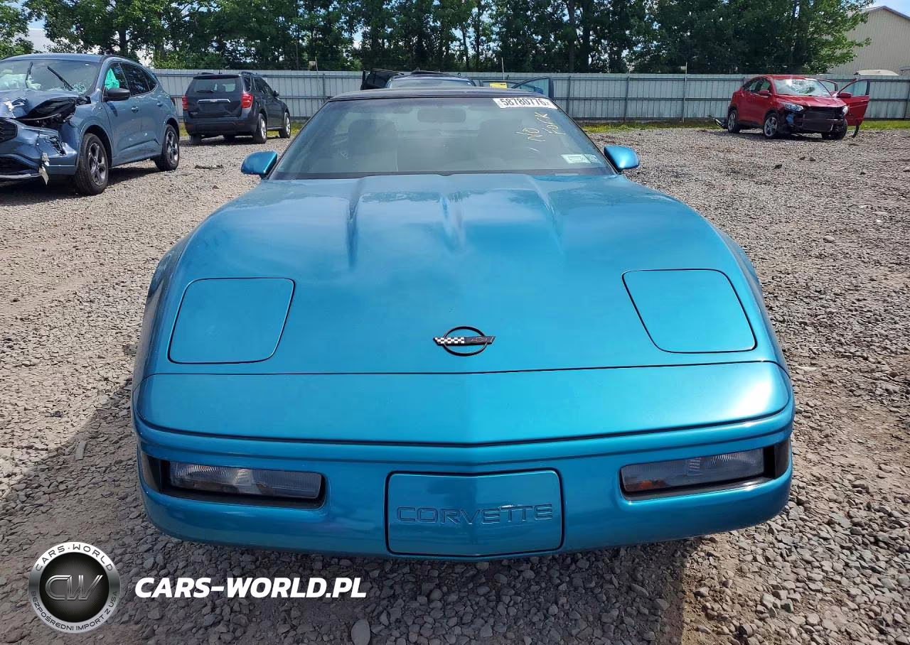 1992 Chevrolet Corvette VIN:1G1YY23P6N5108352 - 5