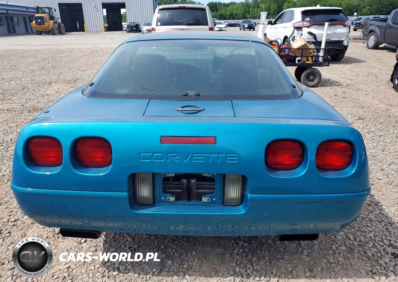 1992 Chevrolet Corvette VIN:1G1YY23P6N5108352 - 6